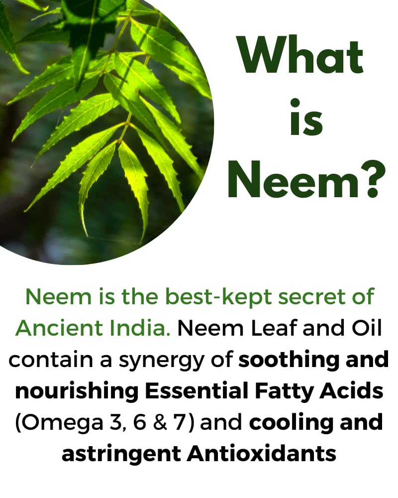 All About Neem neem leaf close-up highlighting natural detox and antioxidants