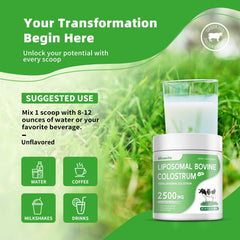 Allcoovita 72 servings bottle closeup emphasizes value and long-term use.