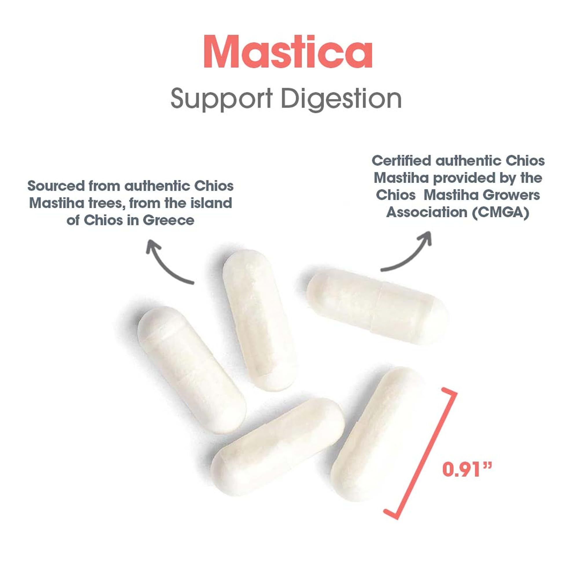 Allergy Research Group Mastic Gum 60 ct capsule closeup ideal for daily dosing