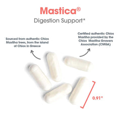 Allergy Research Group Mastica capsules illustrate digestive comfort concept.