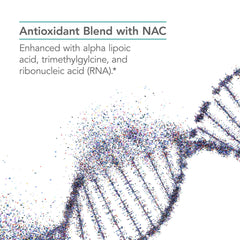Allergy Research NAC Enhanced supplement facts emphasize consistent dosing.