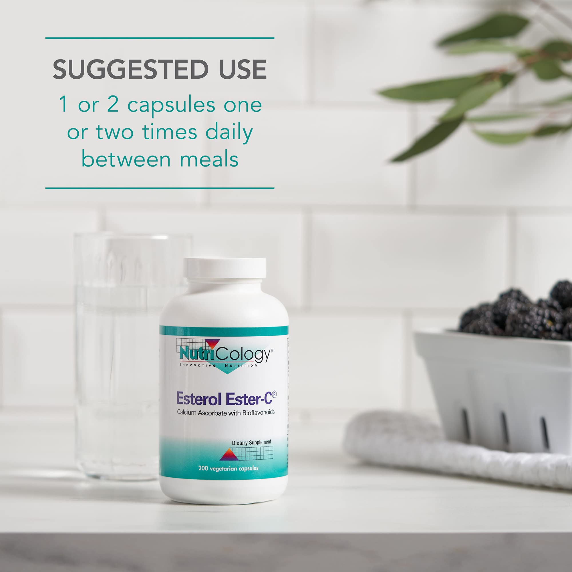 Nutricology Esterol graphic of bioflavonoids implies antioxidant support
