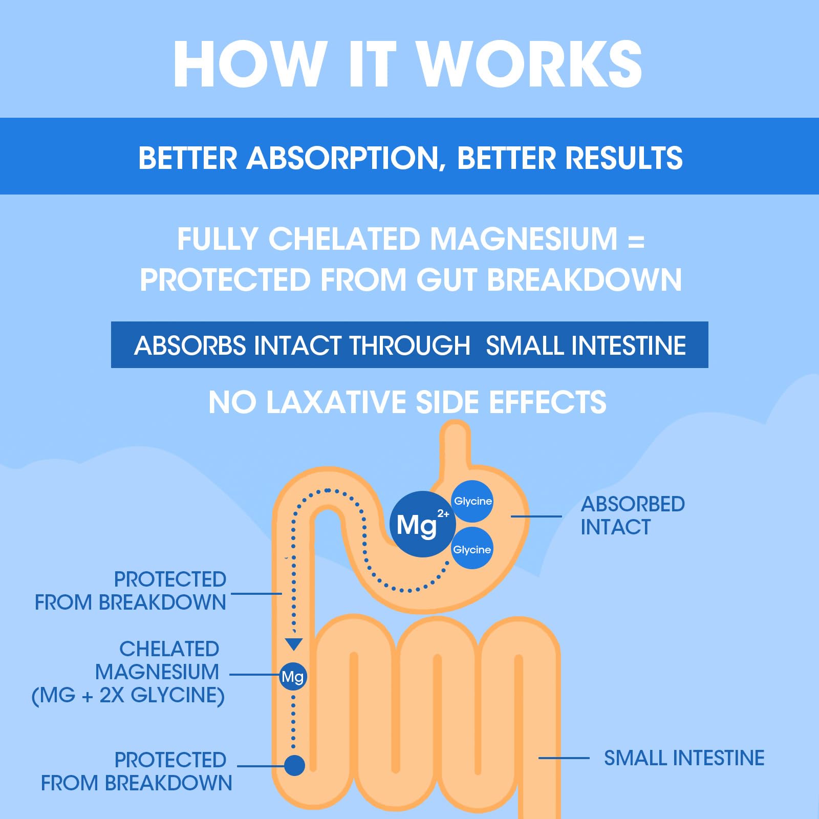 Alliwise Magnesium Glycinate visuals for bone health support.