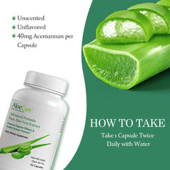 AloeCure farm-to-table processing depiction, ensuring freshness from leaf to capsule.