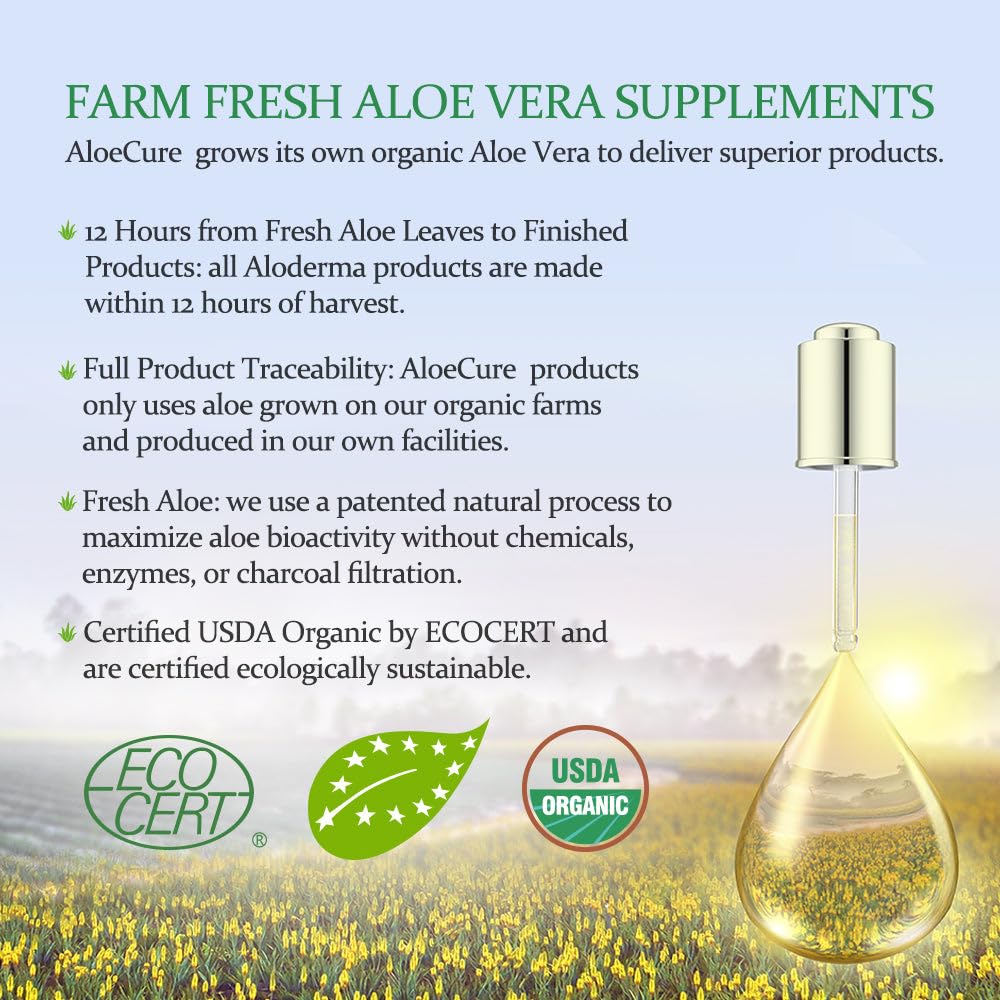 Hoja de Aloe Vera fresca junto a AloeCure para referencia natural.