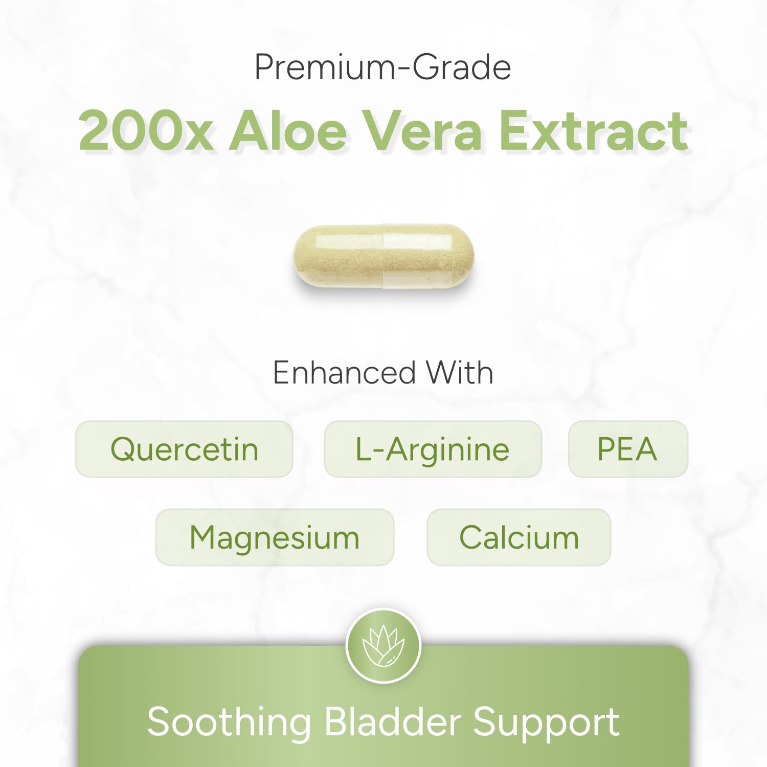 ALOEPATH 200x aloe extract capsules showing concentrated extract for wellness routines.