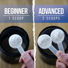 ALPHA LION Core Pre-Workout scoop dissolves quickly for fast energy before sessions.