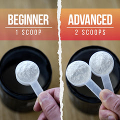ALPHA LION Core preworkout packaging highlighting 60 servings