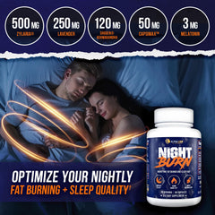 ALPHA LION Night Burn night-time routine scene suggesting relaxation and focus.