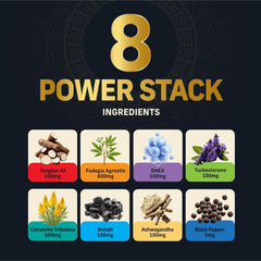 Alpha Tribe Test Protocol ingredient list with Tongkat Ali and Ashwagandha.