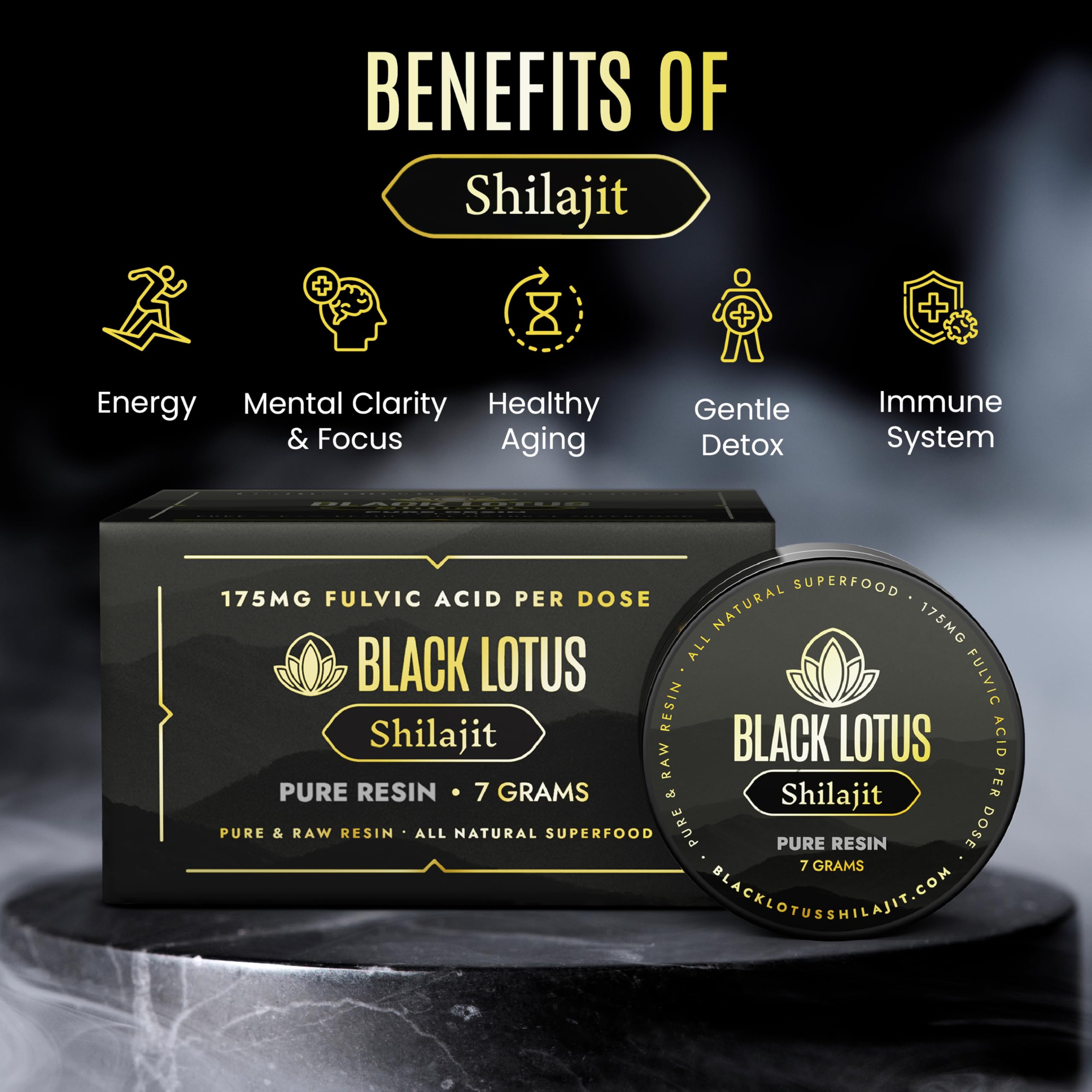 Altai Mountains source of Shilajit providing pristine origin.