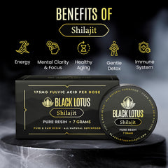 Altai Mountains source of Shilajit providing pristine origin.