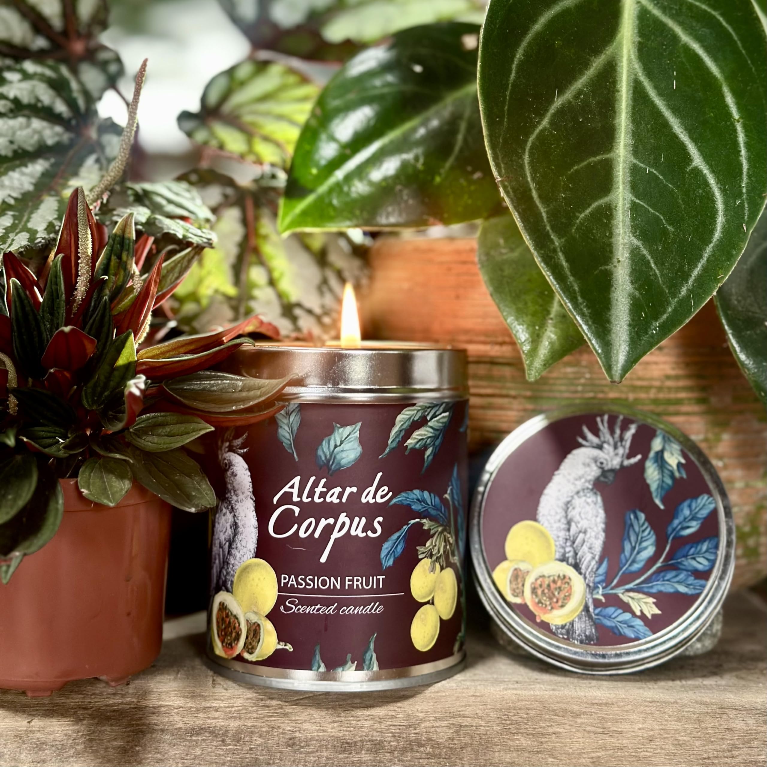 Reusable tin from Altar de Corpus candle doubles as stylish storage