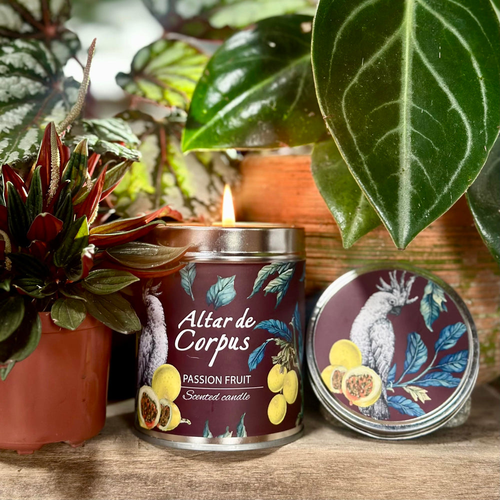Reusable tin from Altar de Corpus candle doubles as stylish storage