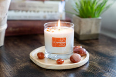 Aluminate Life Clear Quartz crystals in wax brighten spaces and promote clarity