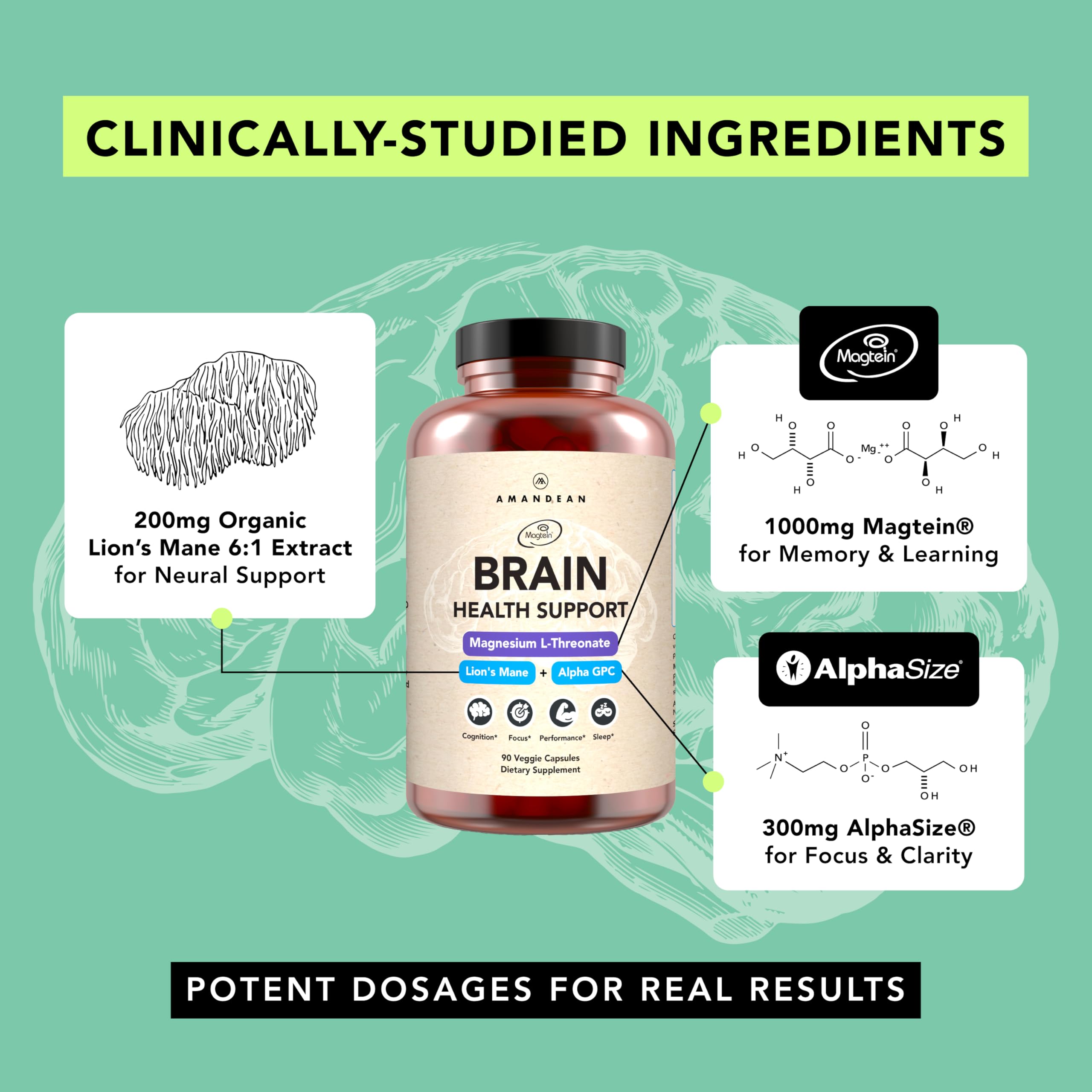 AMANDEAN Alpha GPC capsules closeup highlights cognitive stamina potential.