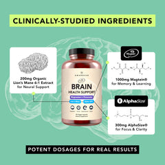 AMANDEAN Alpha GPC capsules closeup highlights cognitive stamina potential.