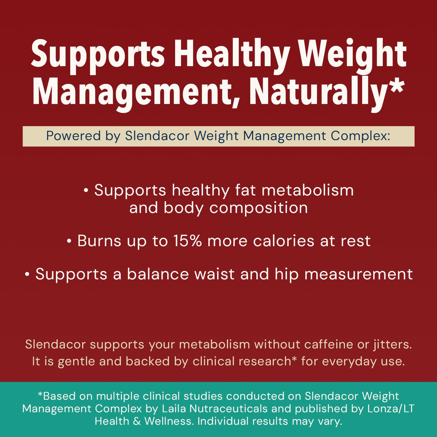 AMAXI Plantium digestive enzymes, probiotics and prebiotics promote comfortable digestion.