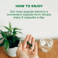Amazing Grass Greens Blend bottle with a scoop suggests simple mixing.