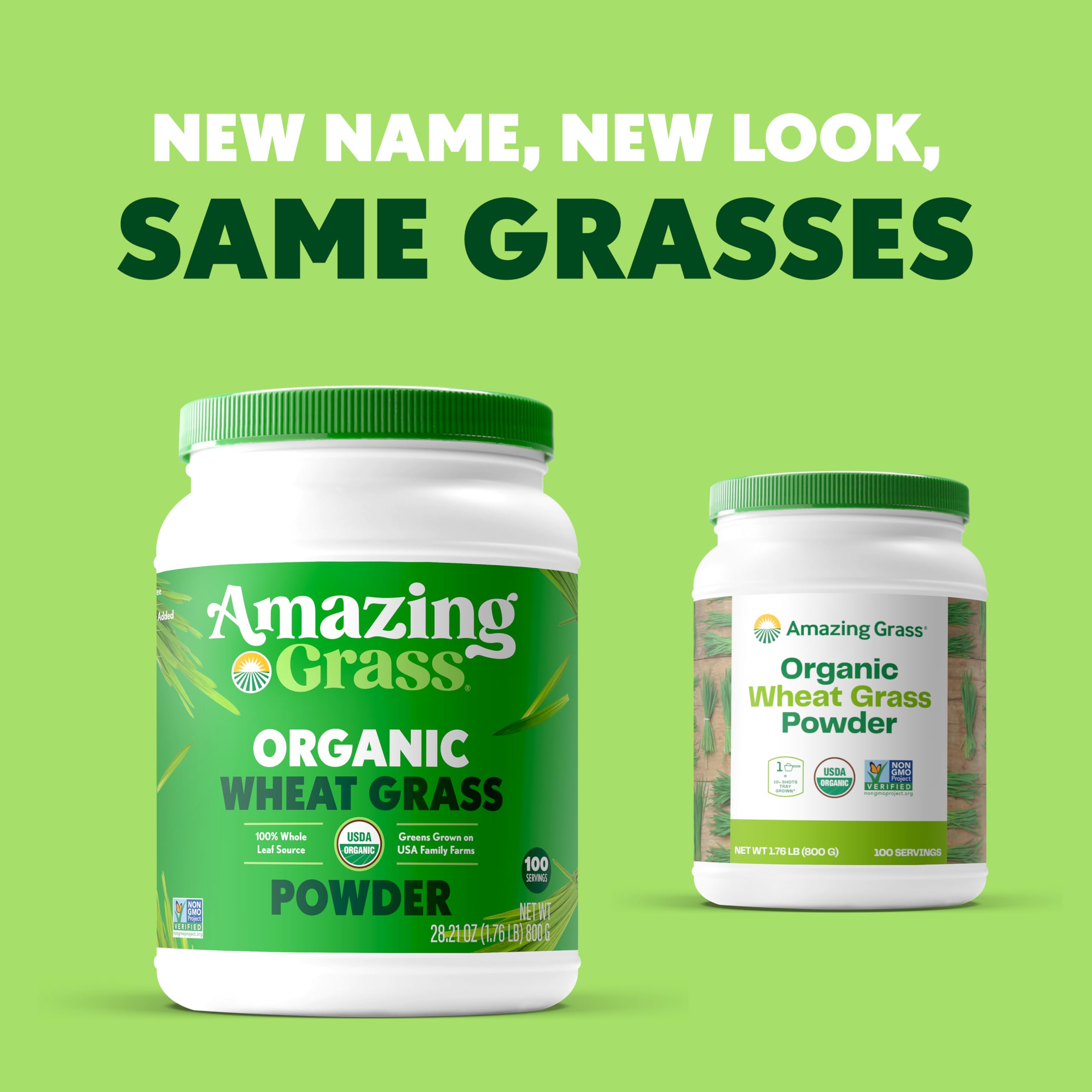 Amazing Grass Wheat Grass Powder in a glass highlighting chlorophyll-rich nutrition.