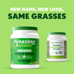 Amazing Grass Wheat Grass Powder in a glass highlighting chlorophyll-rich nutrition.