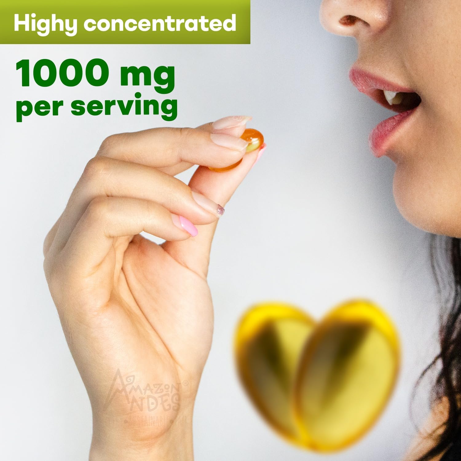 Illustration of moringa seed source for Amazon Andes Moringa Oil Softgels.