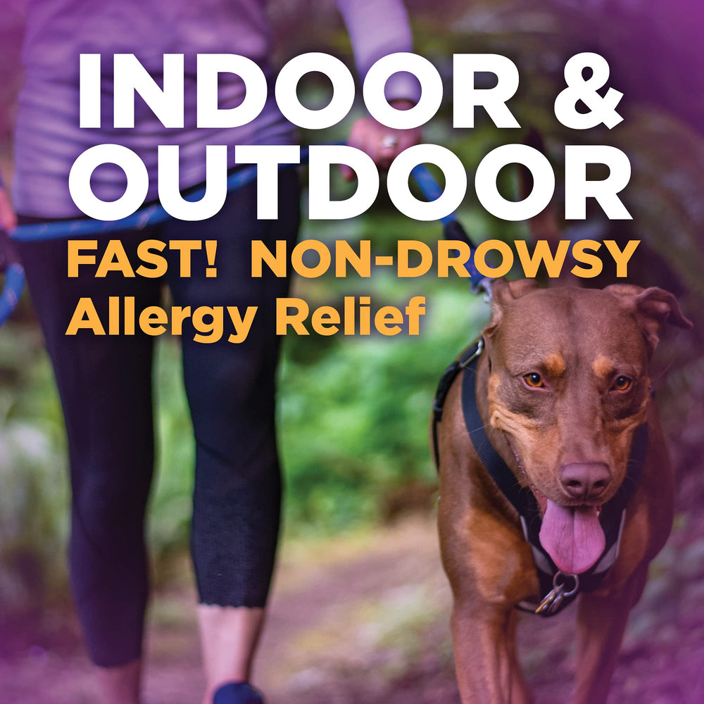 Amazon Basic Care All Day Allergy Relief tablet close-up for daily use.
