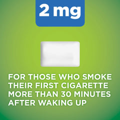 Amazon Basic Care 2 mg gum in cool mint pack ready for daily use