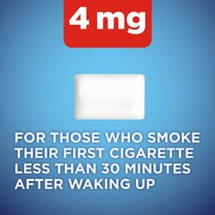 Amazon Basic Care coated nicotine gum 4 mg ice mint gums rows closeup eases withdrawal.