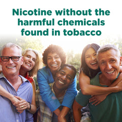 Amazon Basic Care nicotine gum 4 mg mint shelf-ready pack for daily support.