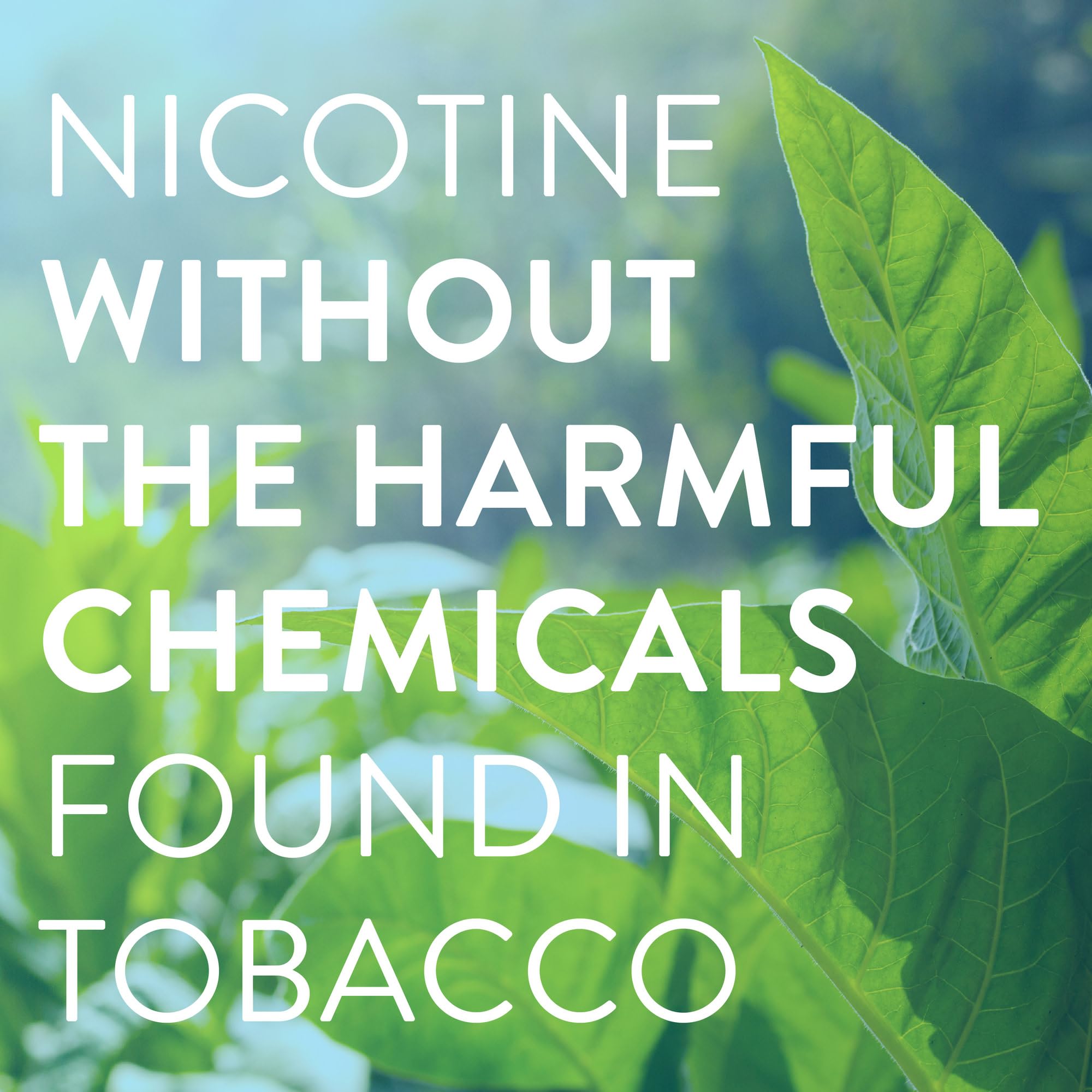 Amazon Basic Care nicotine lozenge 4 mg mint pack back with product details