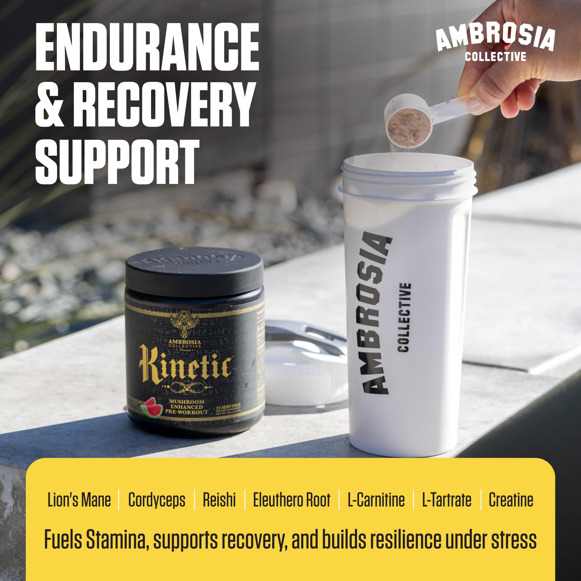 Ambrosia Kinetic label highlights mushrooms and nootropics blend.