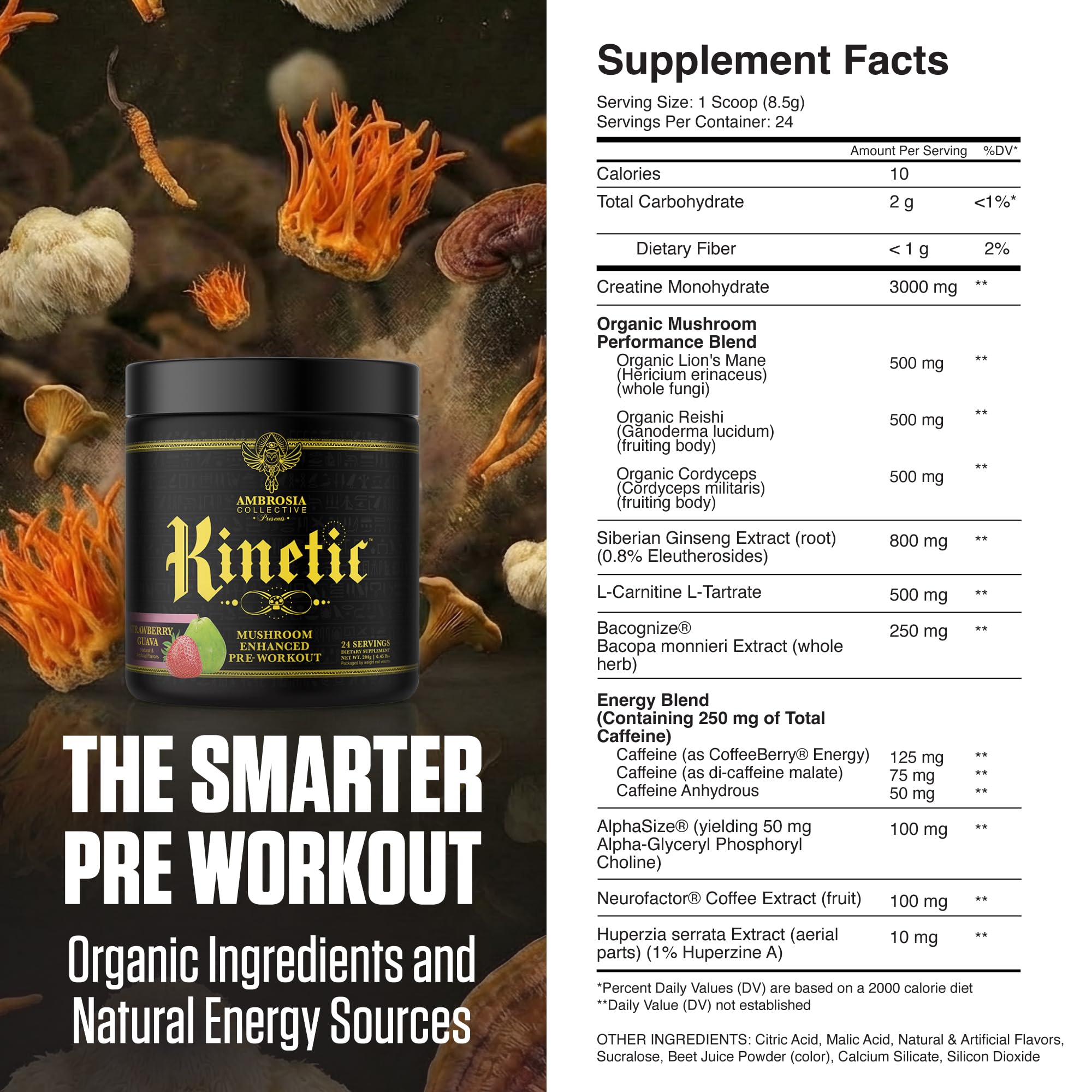 Ambrosia Kinetic scoop close-up highlights measured serving for consistent energy.
