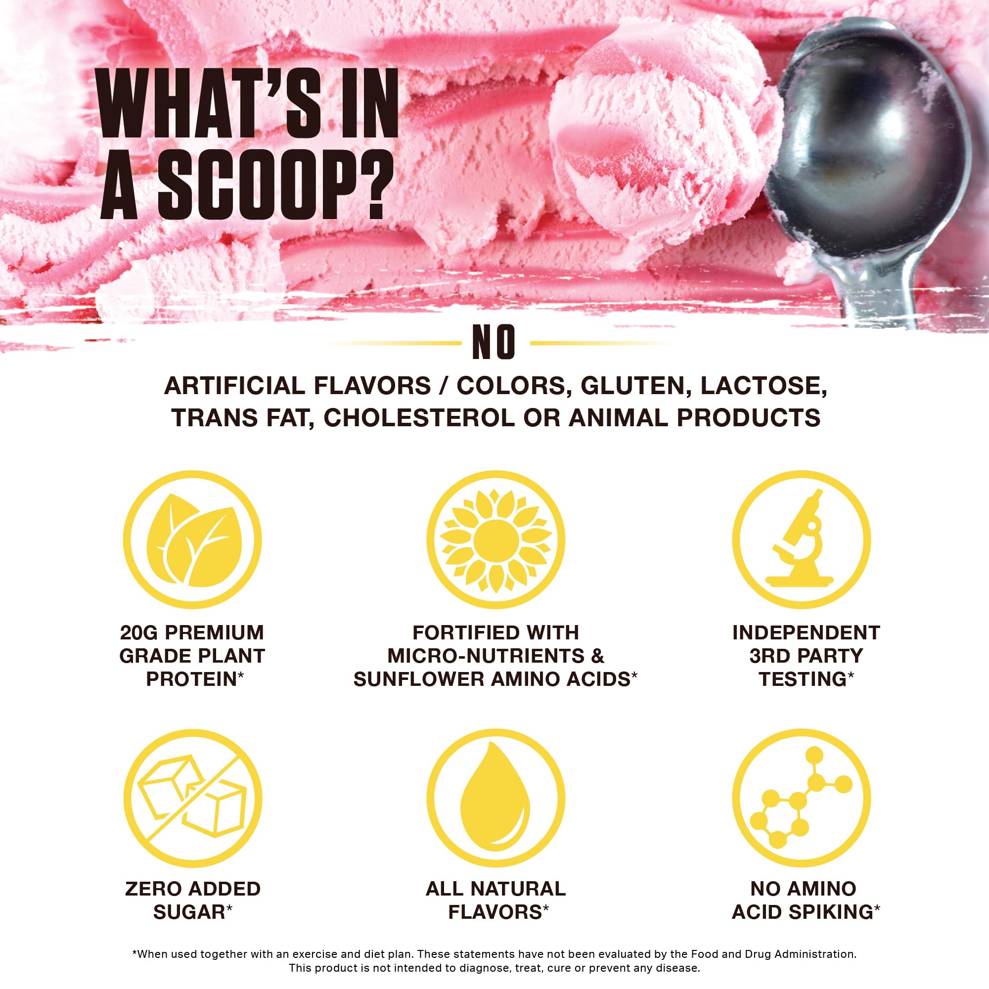 Ambrosia Planta brown rice and pea protein ingredients visual emphasizes plant-based protein source.