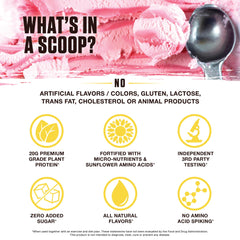 Ambrosia Planta brown rice and pea protein ingredients visual emphasizes plant-based protein source.