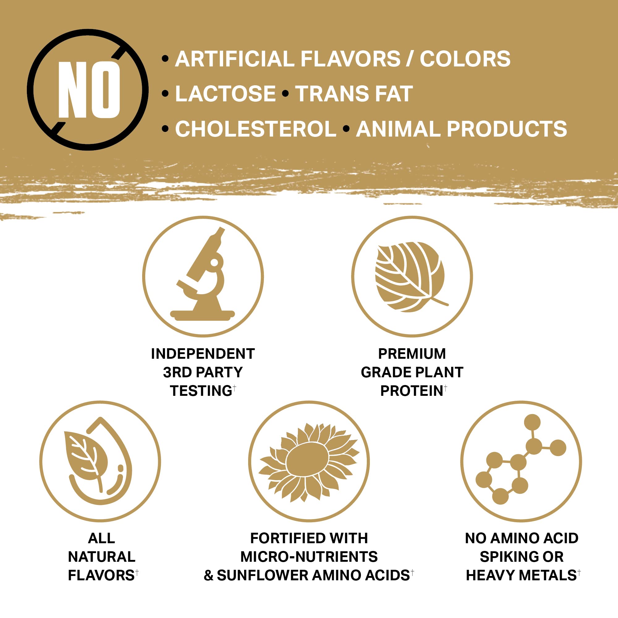 Ambrosia Planta flavors display suggests 13+ delicious options