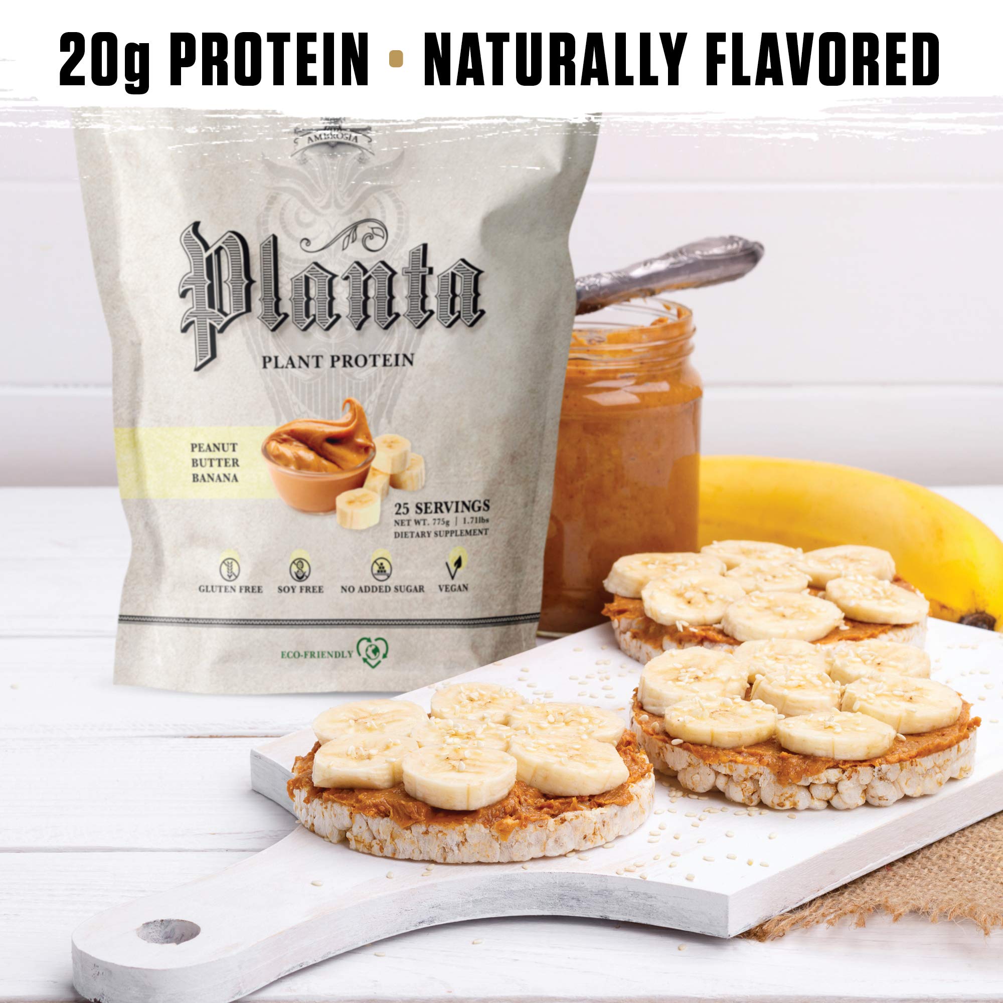 Ambrosia Planta ingredients blend close-up shows pea, brown rice, and sunflower proteins.