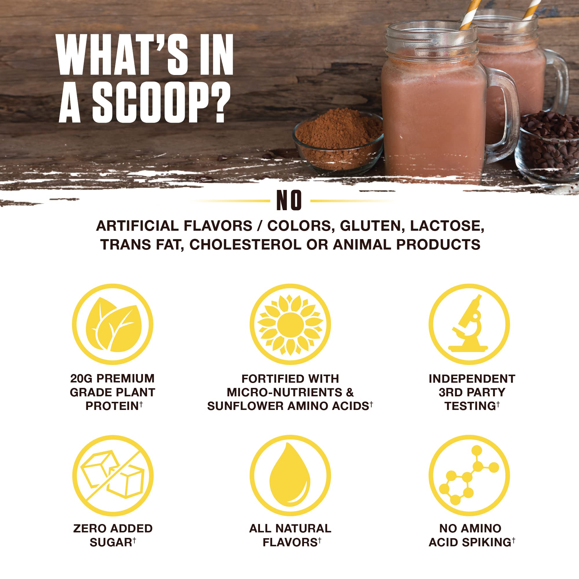 Ambrosia Planta packaging-front emphasizes 14 servings and vegan formulation.