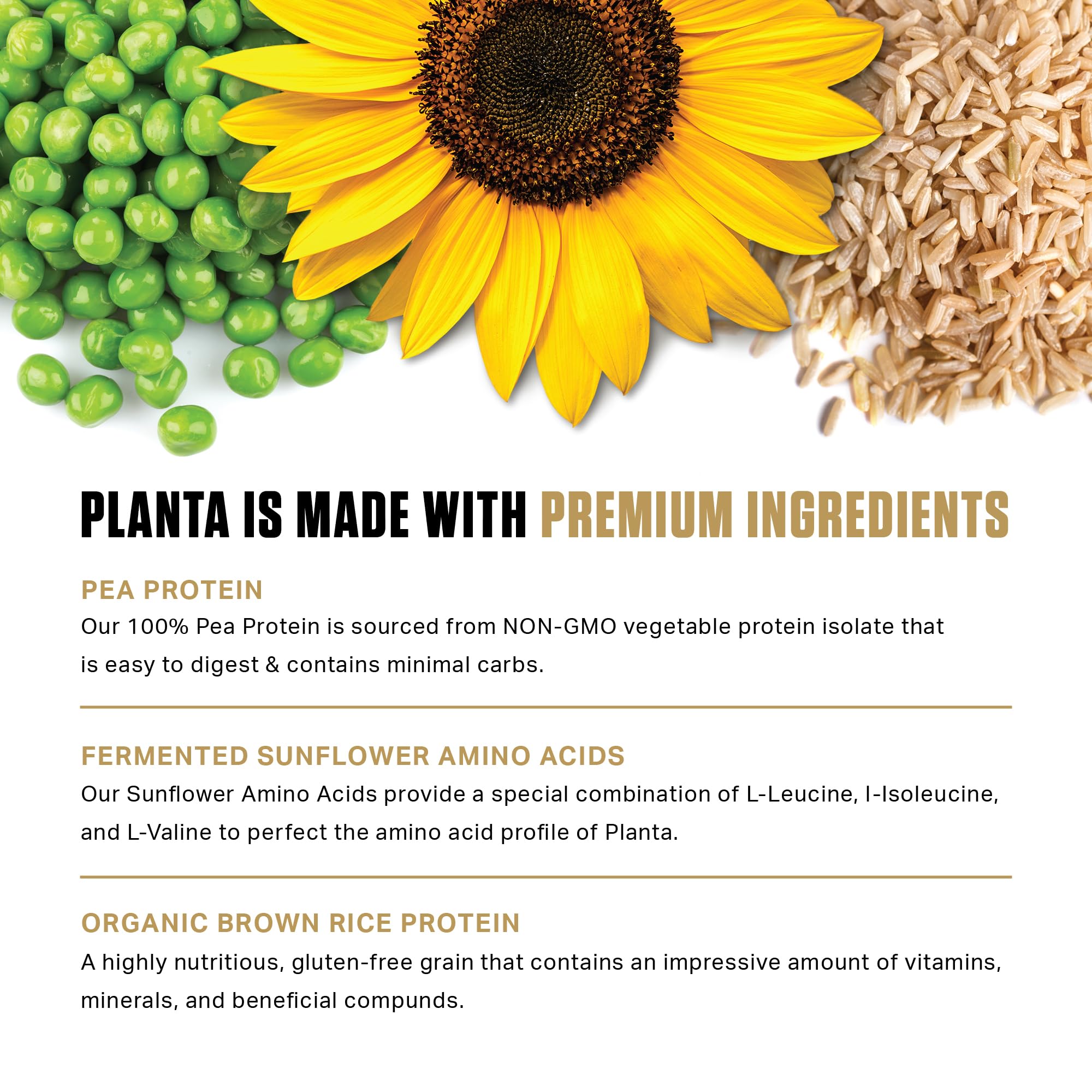 Ambrosia Planta packaging highlights 25 servings with no added sugar
