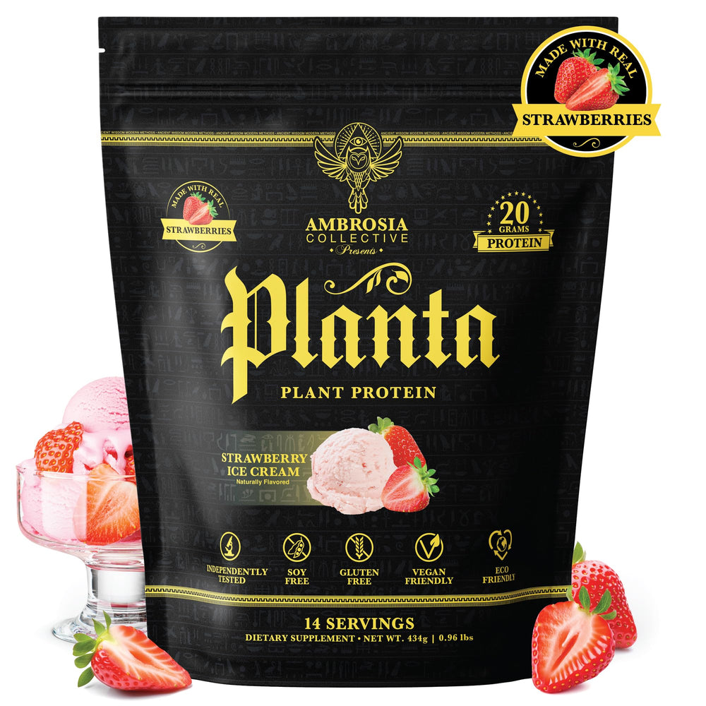 Ambrosia Planta protein scoop pouring into glass, convenient shake for on-the-go fueling.