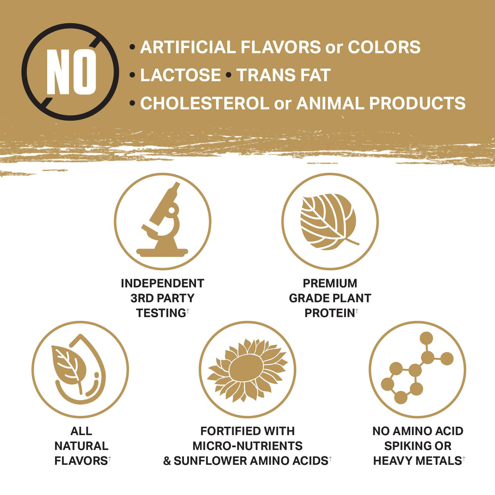 Ambrosia Planta shaker cup ready with water for on-the-go protein