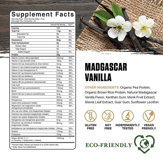 Ambrosia Planta scoop in water, delivering 20g protein per serving.