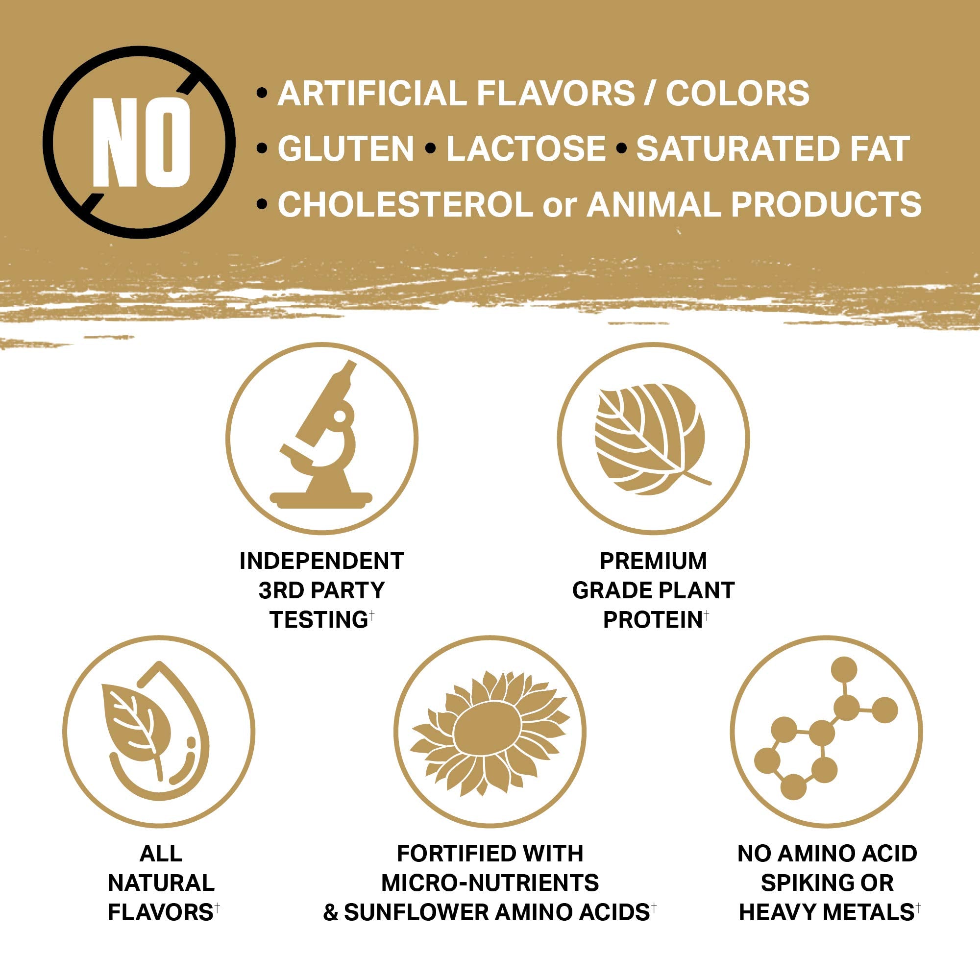 Ambrosia Planta smoothie pour highlights its dessert-like flavor without chalkiness.