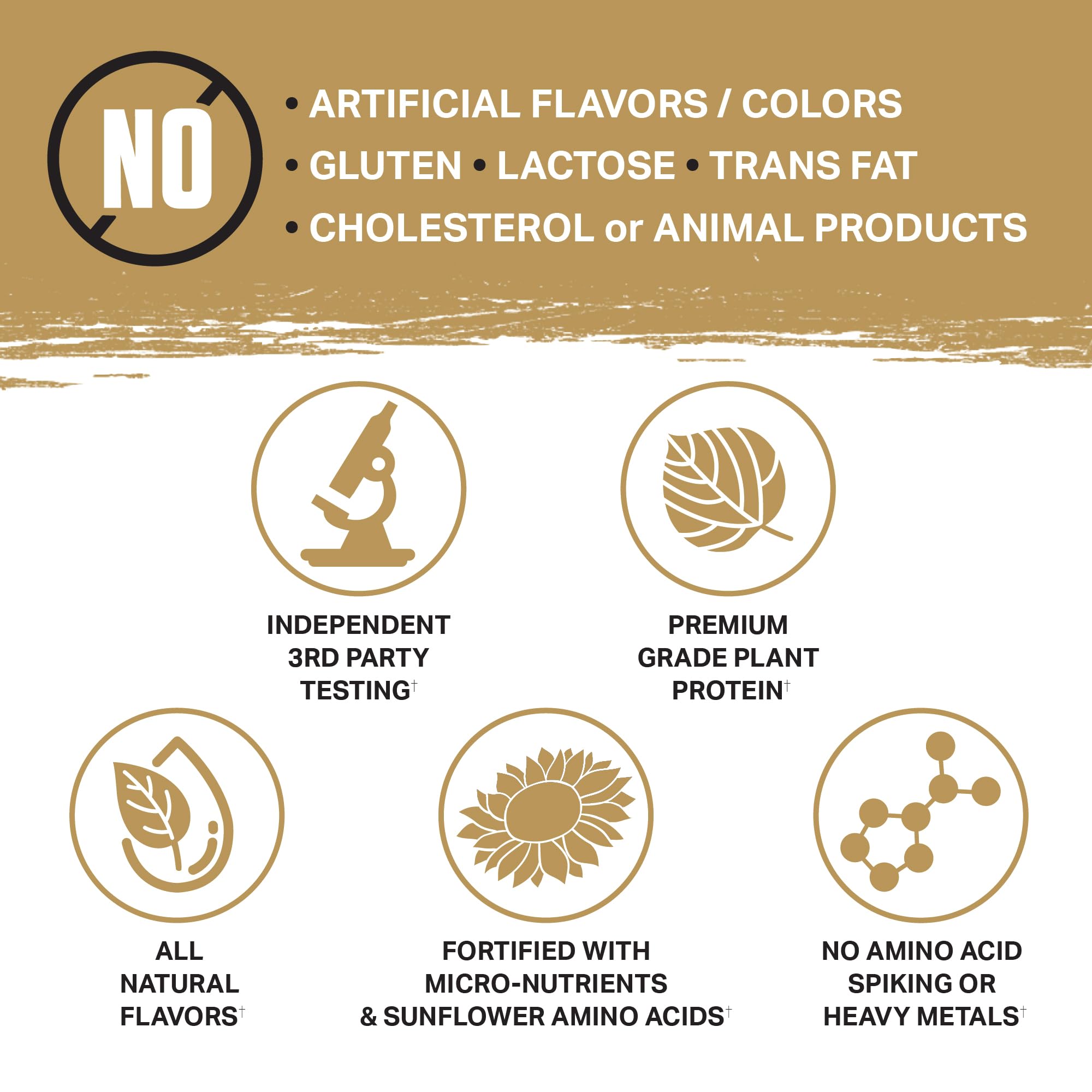 Ambrosia Planta flavor-label close-up showcases tasty varieties and clean ingredients.