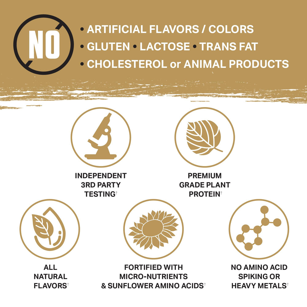 Ambrosia Planta flavor-label close-up showcases tasty varieties and clean ingredients.