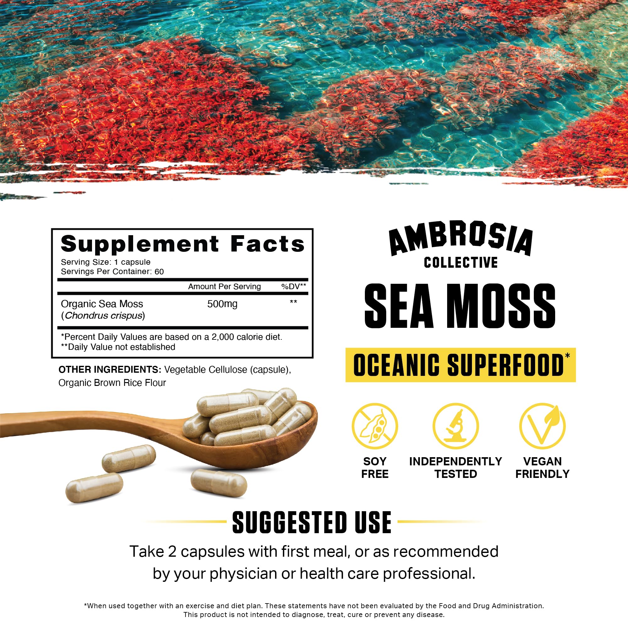 Ambrosia Sea Moss capsules closeup of veggie capsules for plant-based nutrition.