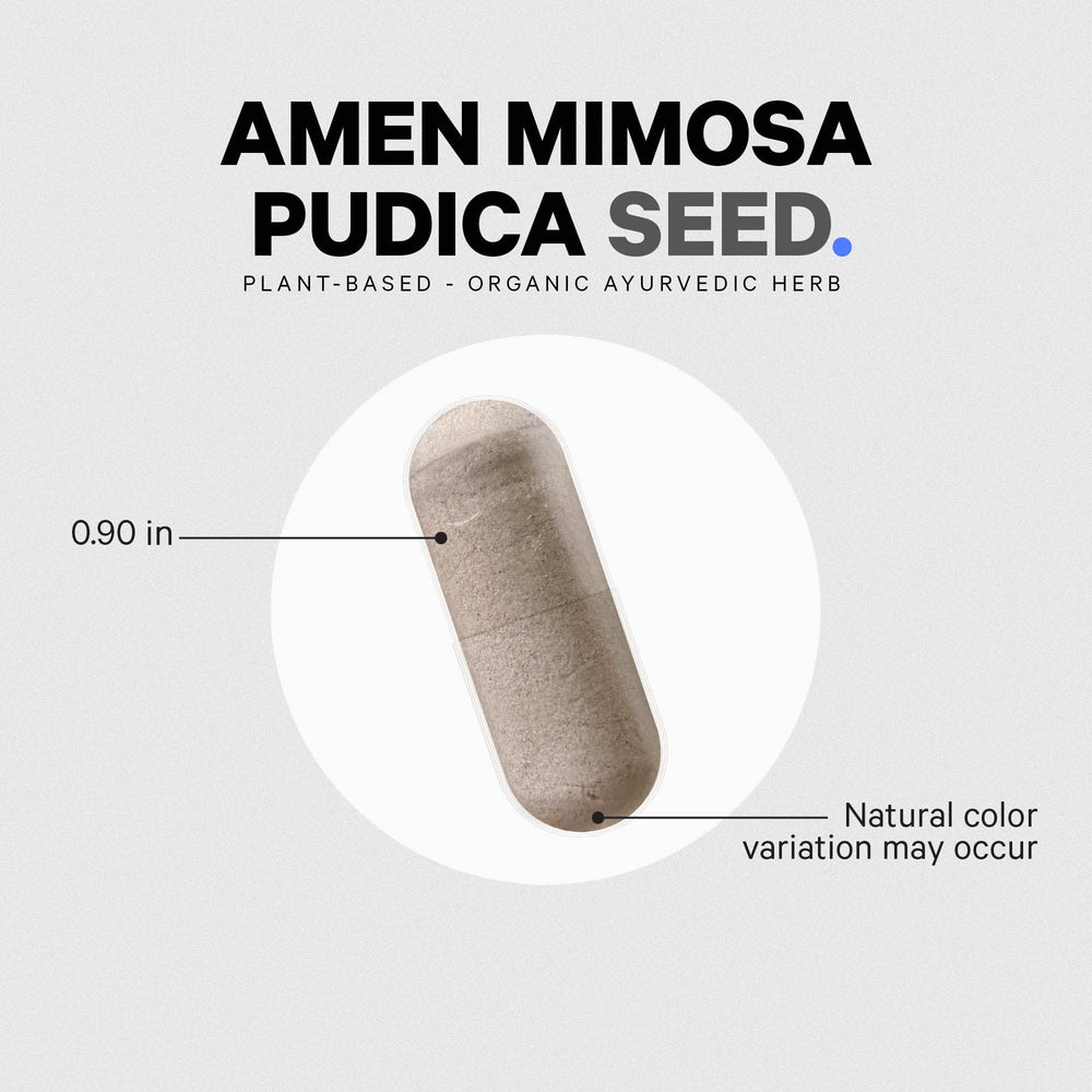 Amen Mimosa Pudica capsule daily-dose close-up.