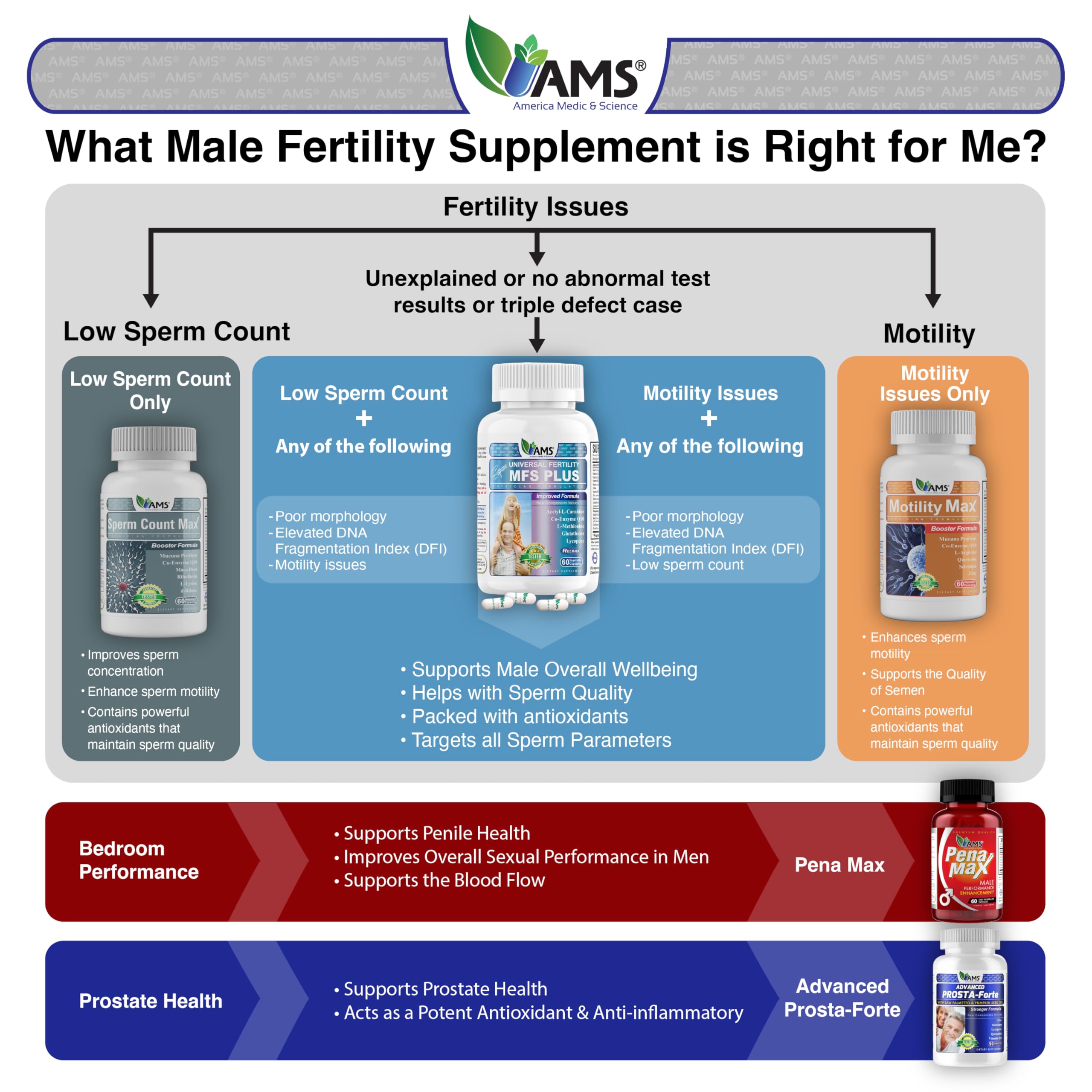 Stacked Motility Max capsules illustrating compact daily wellness support.