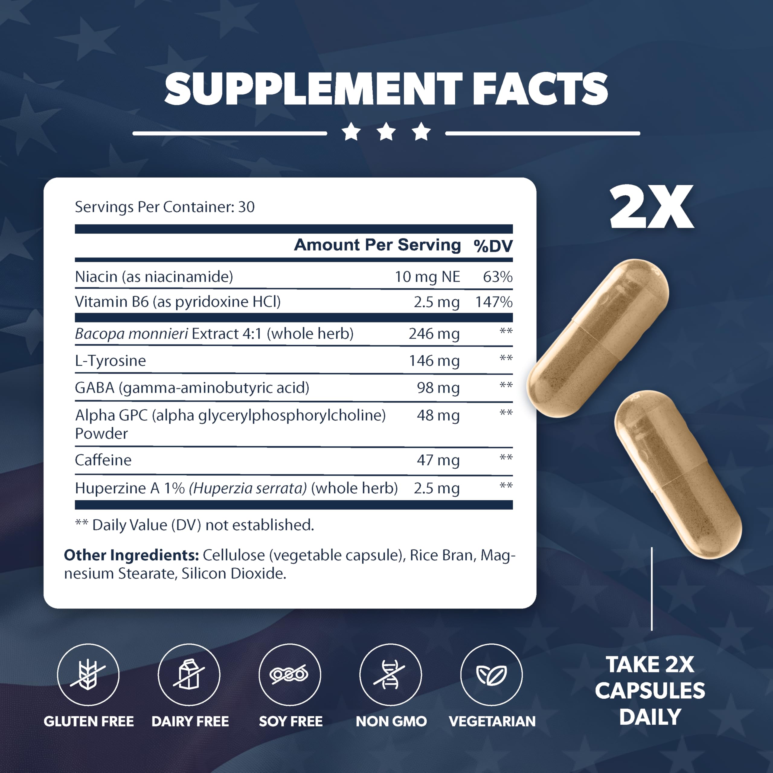 AMERICAN VITALITY Brain Formula bottle back label detailing ingredients and uses.