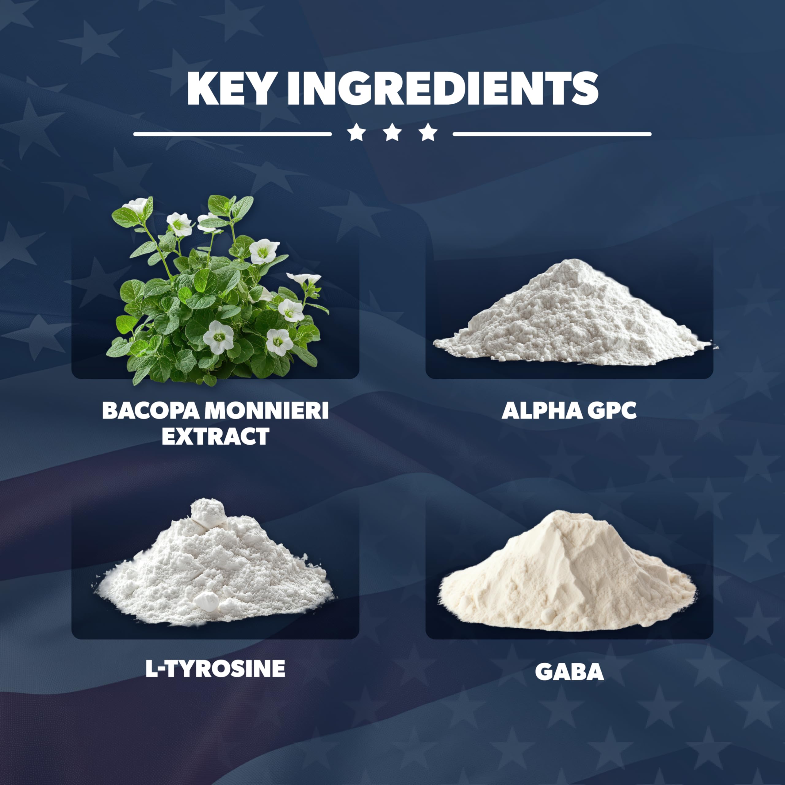 AMERICAN VITALITY Brain Formula pills closeup suitable for daily cognitive support.